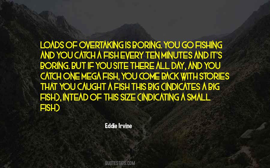 Quotes About Small Fish #498385