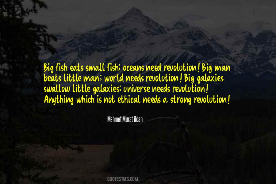 Quotes About Small Fish #559735