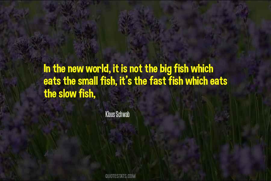 Quotes About Small Fish #643321