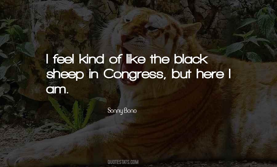 Quotes About Black Sheep #315022