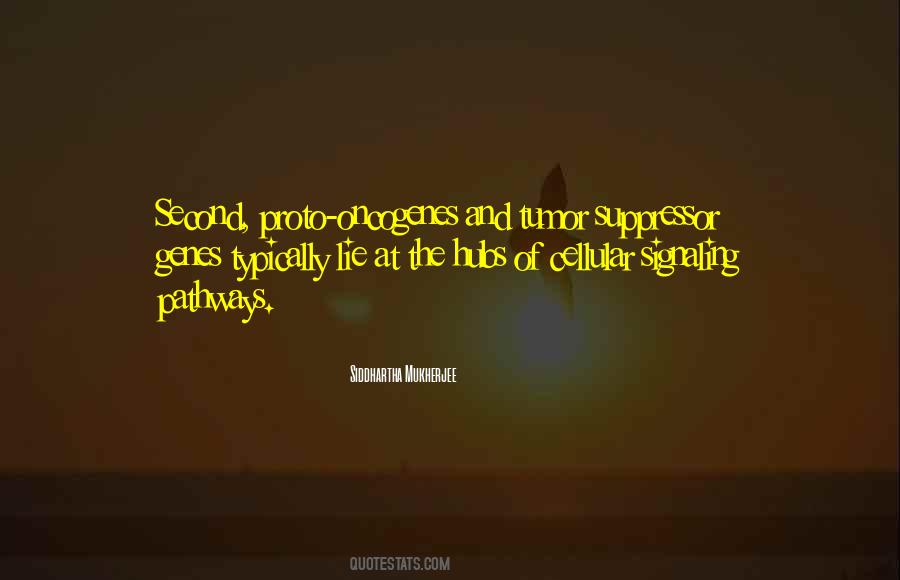 Seafood Industry Quotes #36731