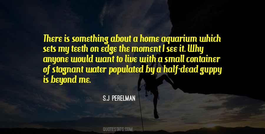 Quotes About Aquarium #1205392