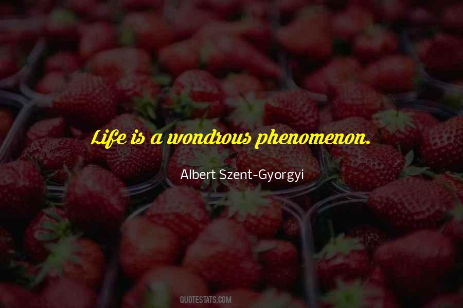 Quotes About Wondrous #1184281