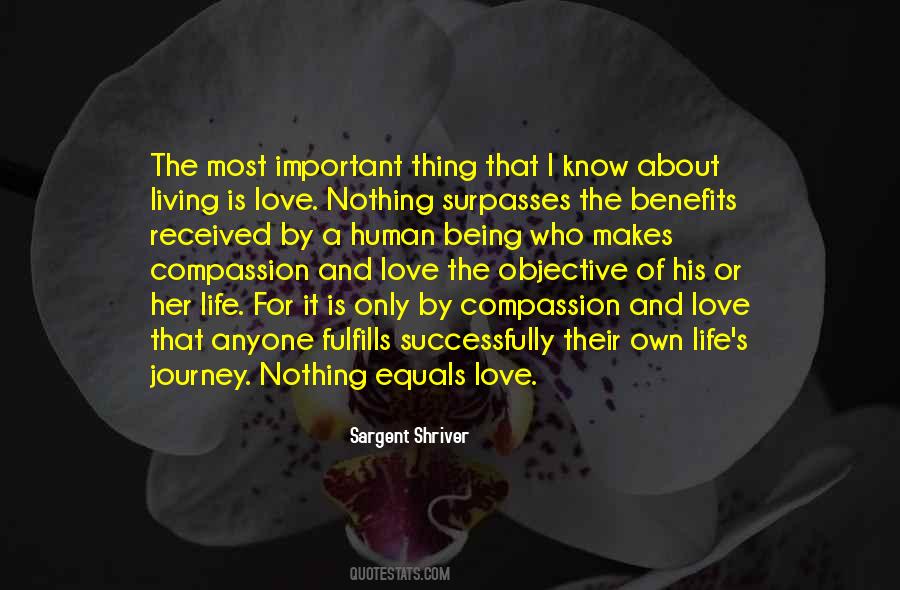Love Which Surpasses Quotes #1826064