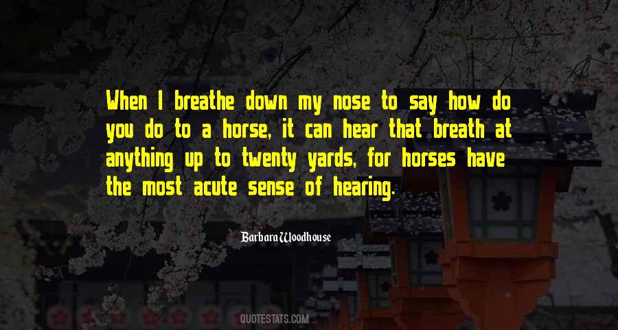 Quotes About Horse Noses #494496