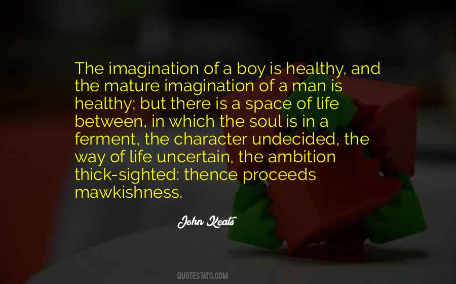 Quotes About Ambition In Life #942934