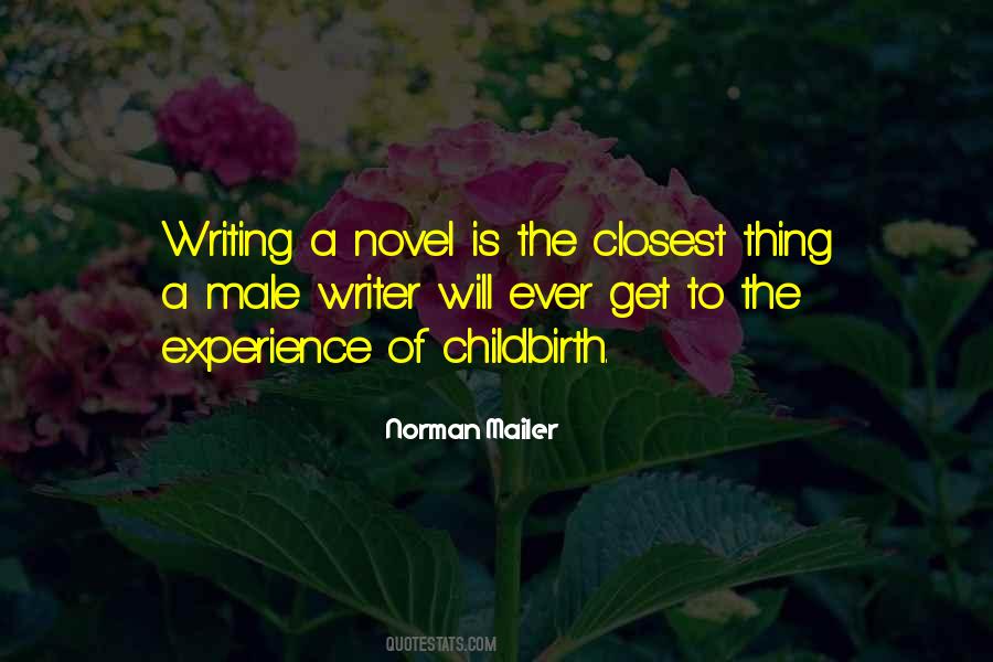 Quotes About Writing A Novel #1307104