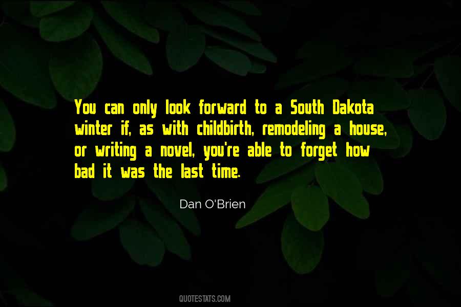 Quotes About Writing A Novel #1437008