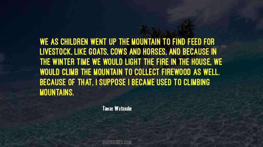 Quotes About Climbing Mountains #1677474