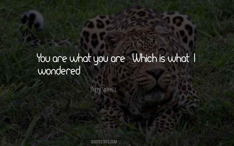 Quotes About You Are What You Are #115712