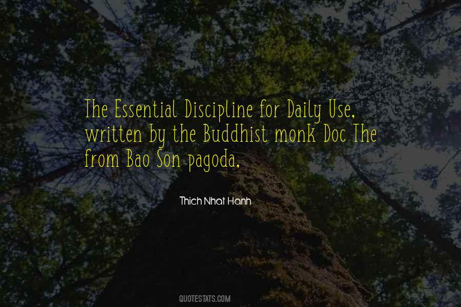 Daily Discipline Quotes #1705267