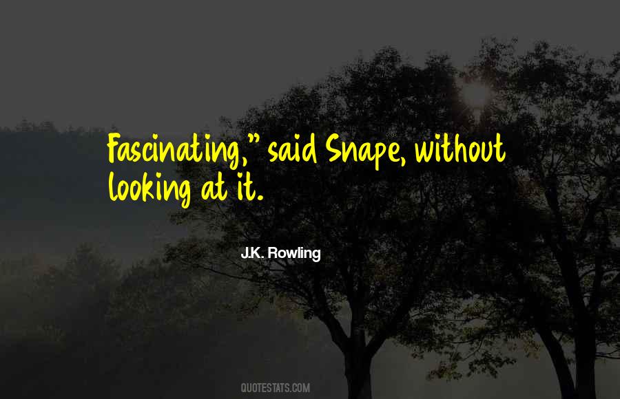 Stellmacher Quotes #699973