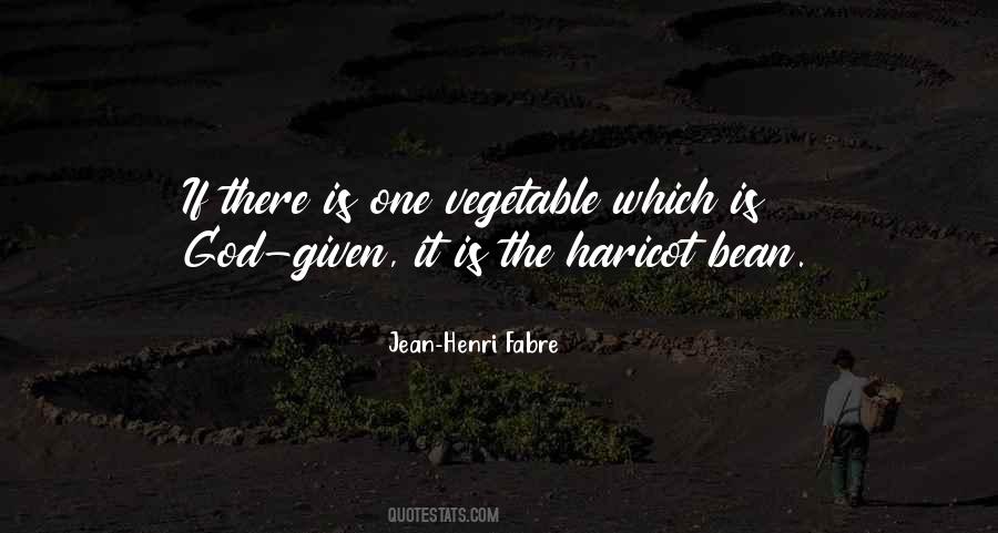 Haricot Bean Quotes #548936