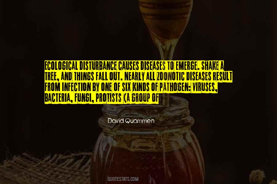 Quotes About Disturbance #691023