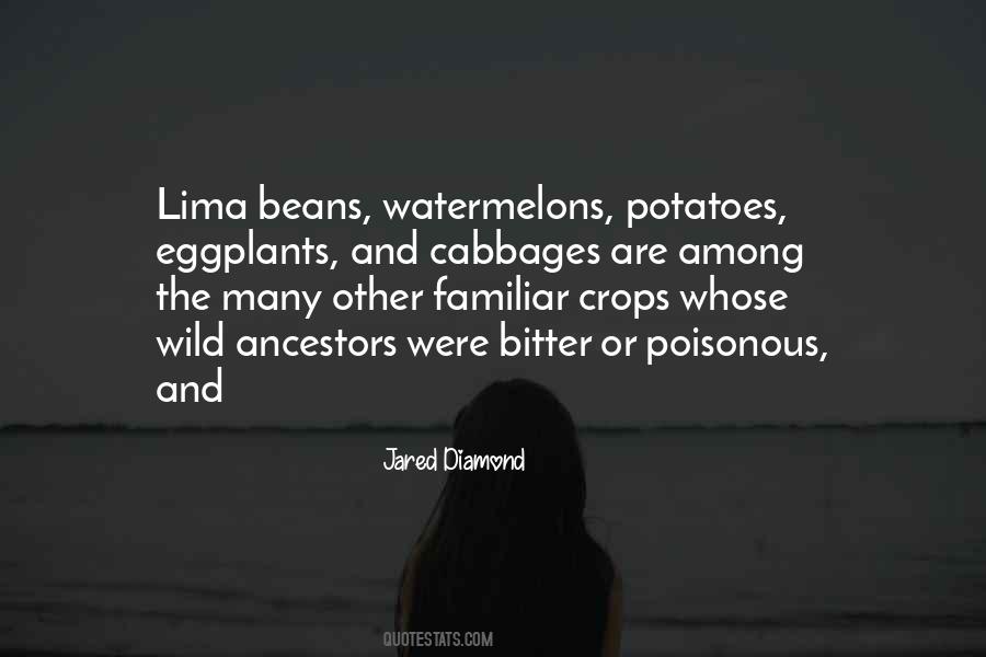 Quotes About Lima Beans #606273