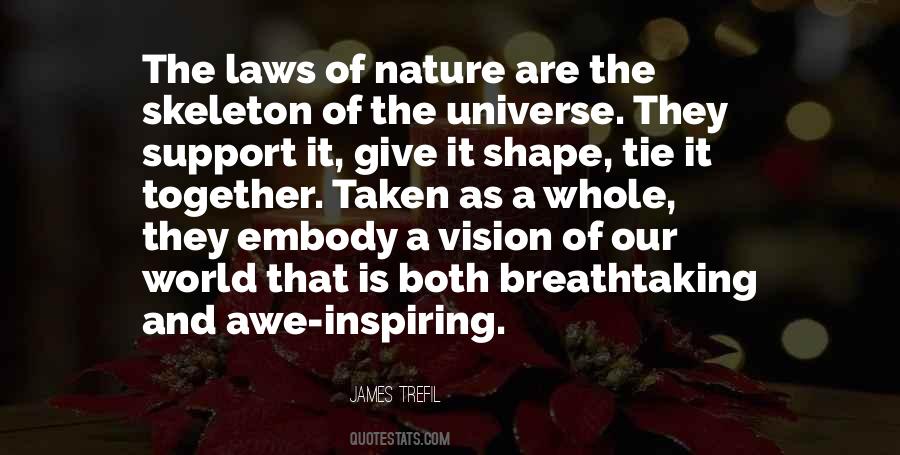 Law Of Universe Quotes #552779