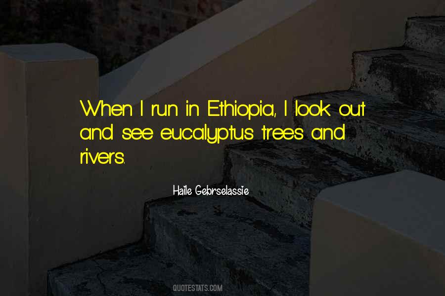 Quotes About Eucalyptus #492190