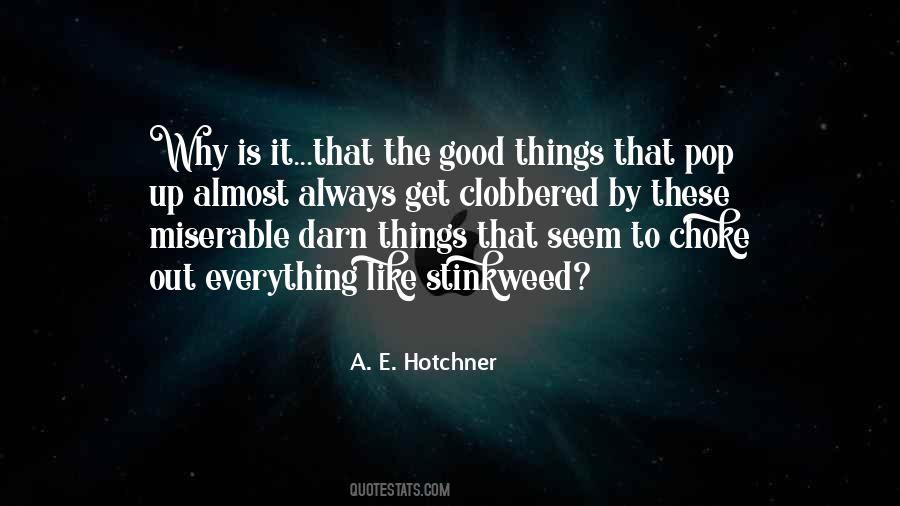 Quotes About Life Good Things #95957