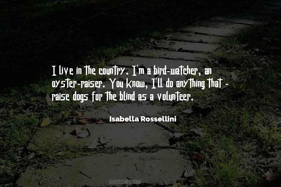 The Blind Quotes #1097931