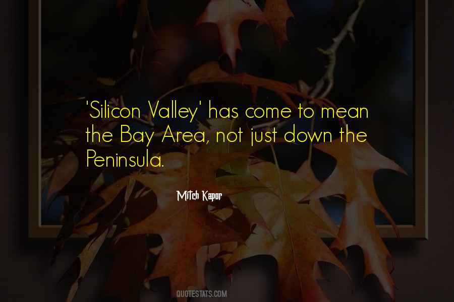 Quotes About Silicon Valley #1459039