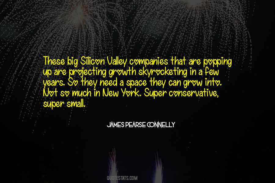Quotes About Silicon Valley #1677791