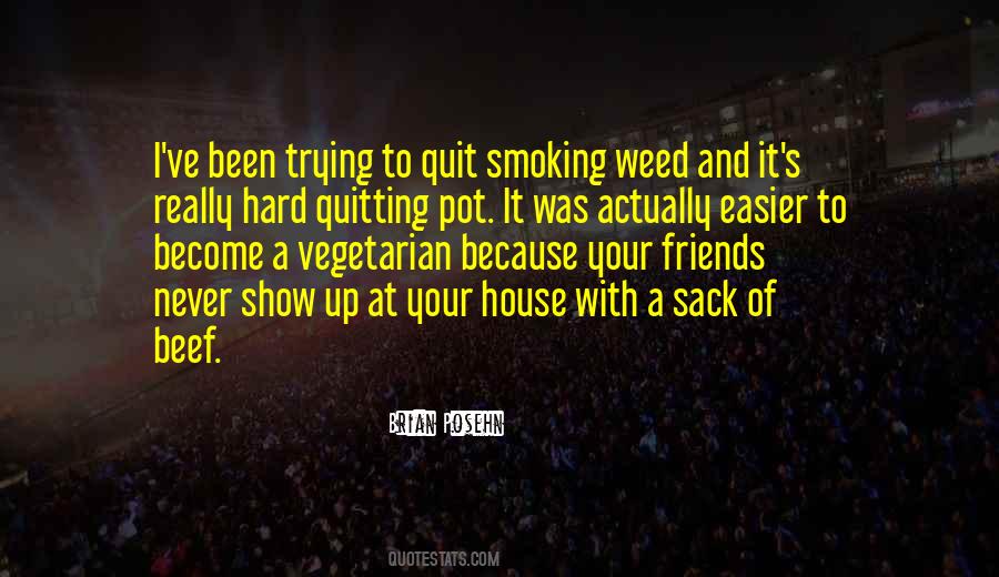 Quotes About Quit Smoking Weed #772213