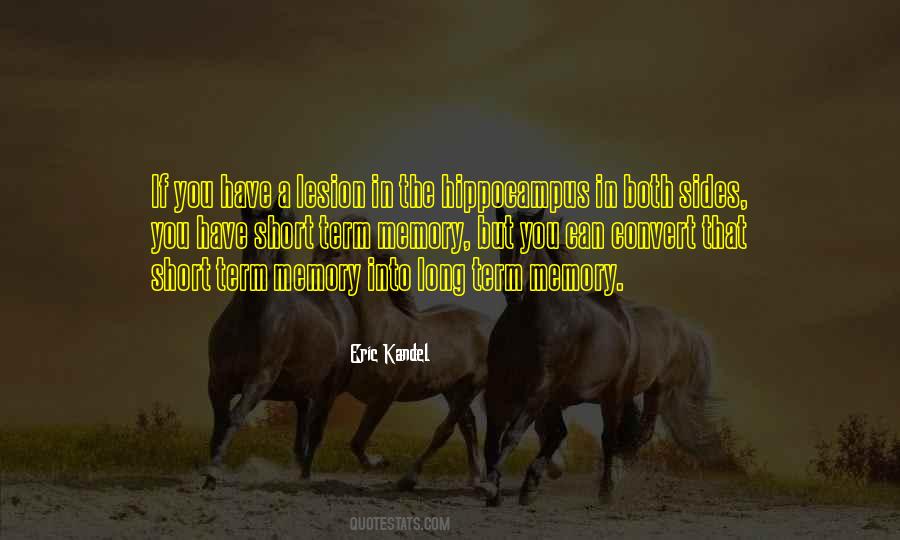 Burn Elementally Evolved Quotes #269095