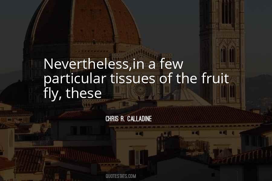 Quotes About Nevertheless #1224877