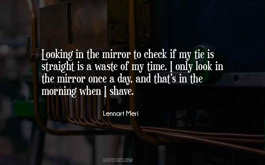 Quotes About Looking In The Mirror #1654518