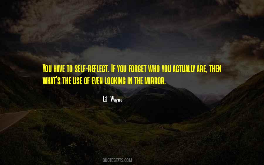 Quotes About Looking In The Mirror #1757621