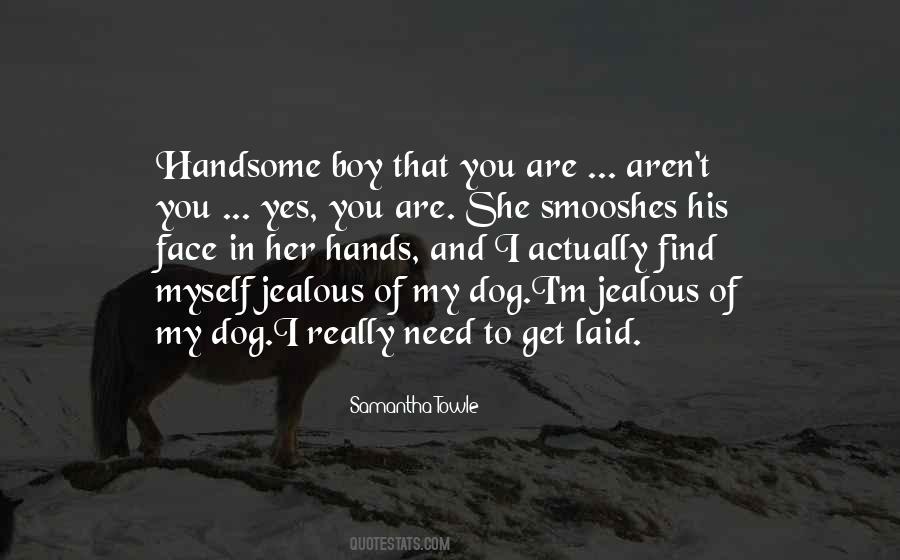 Quotes About Handsome Boy #607806