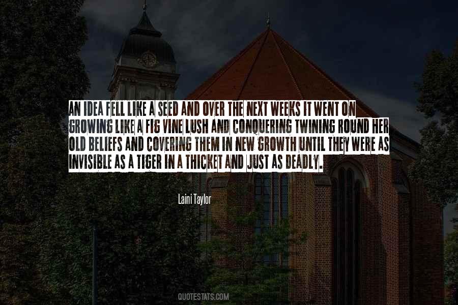Quotes About Facial Wash #1685665