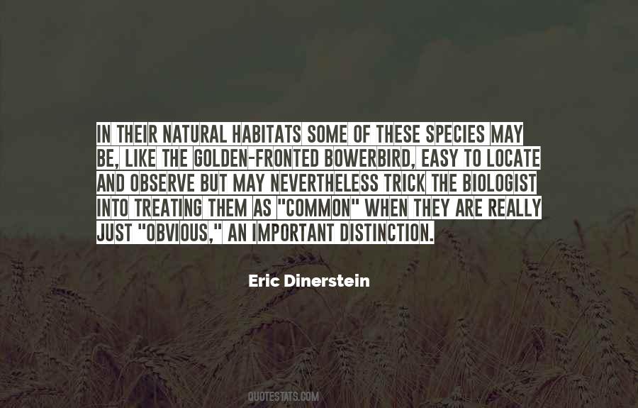 Just Observe Quotes #1572517