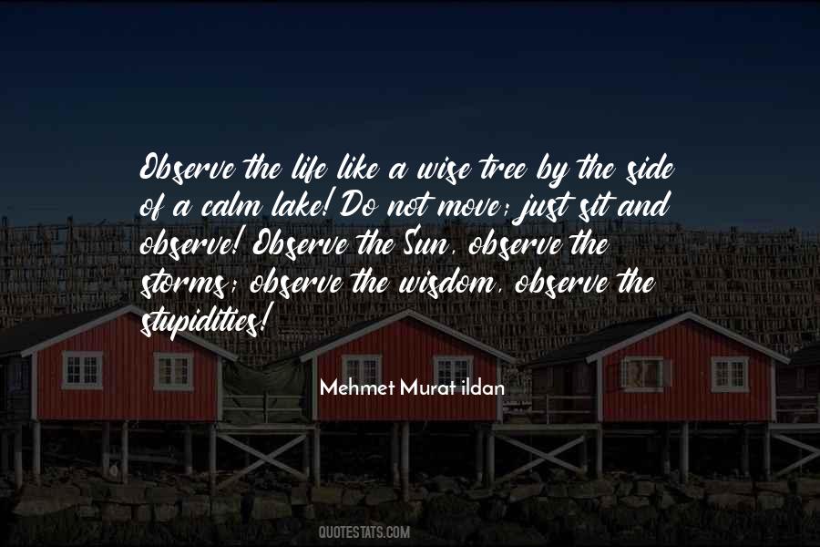 Just Observe Quotes #861609