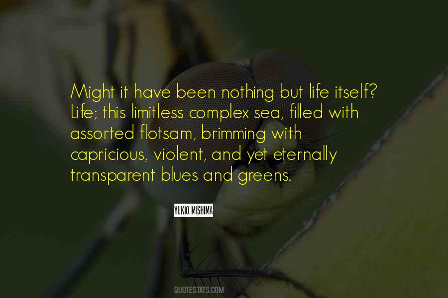 Life Transparent Quotes #418113