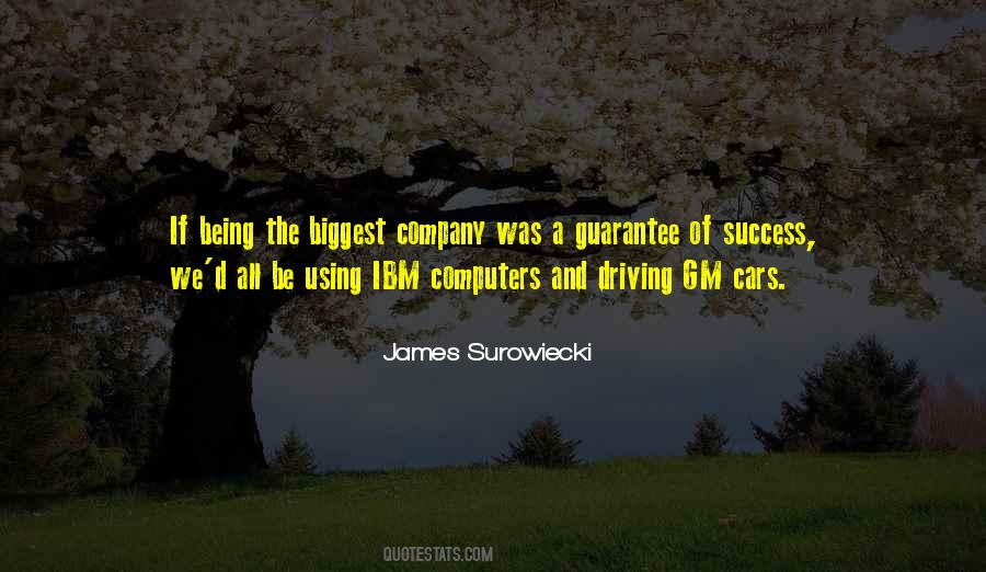 Quotes About Ibm #633099