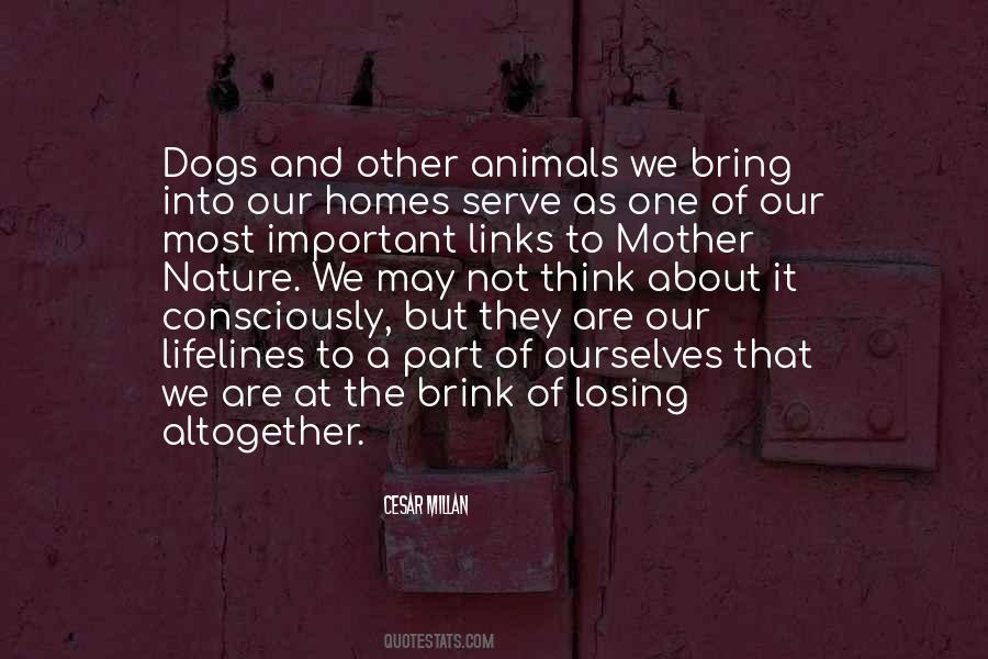 Quotes About Nature And Animals #1020004 Quotes About Nature And Animals #1020004