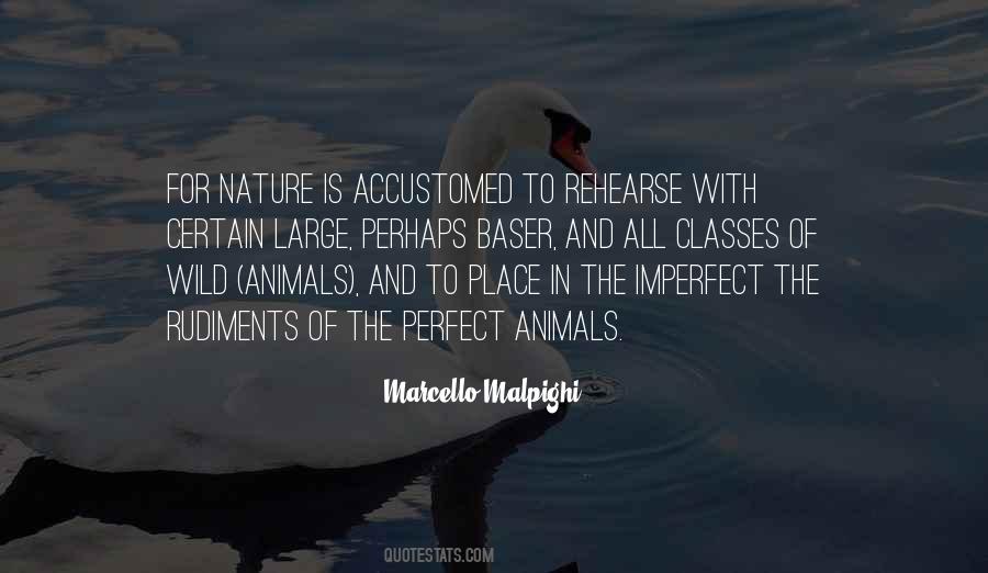 Quotes About Nature And Animals #640060 Quotes About Nature And Animals #640060