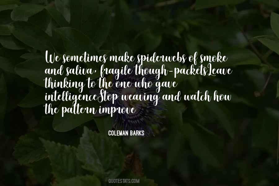 Quotes About Spiderwebs #351488