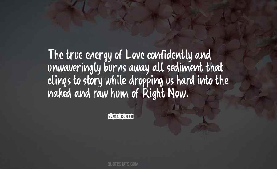 Quotes About True Love Story #1173799