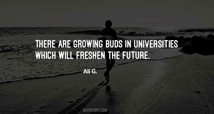 Quotes About Buds #282875