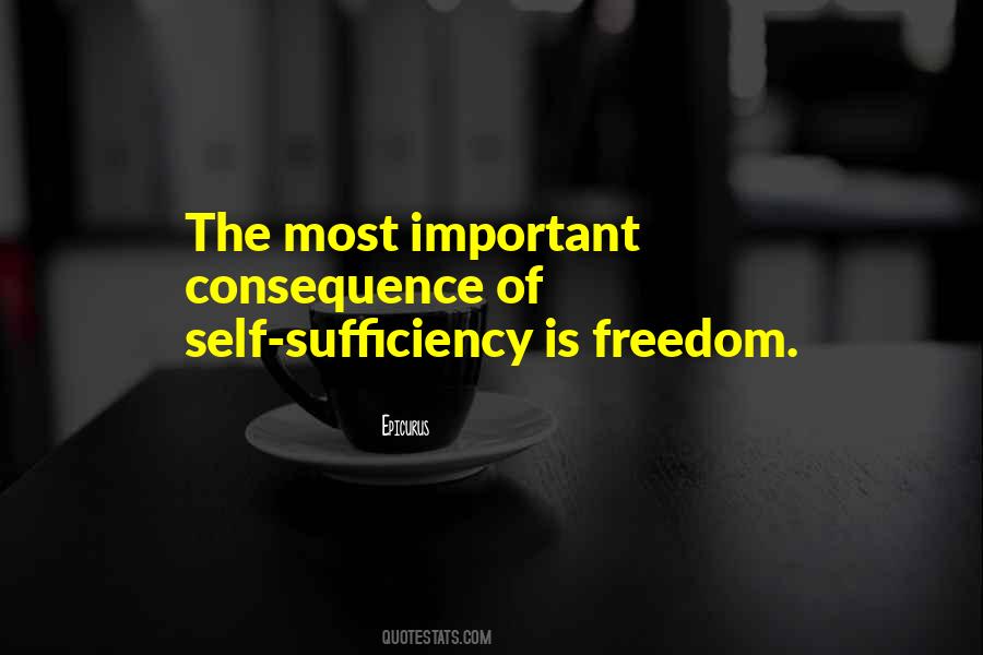 Quotes About Sufficiency #914021