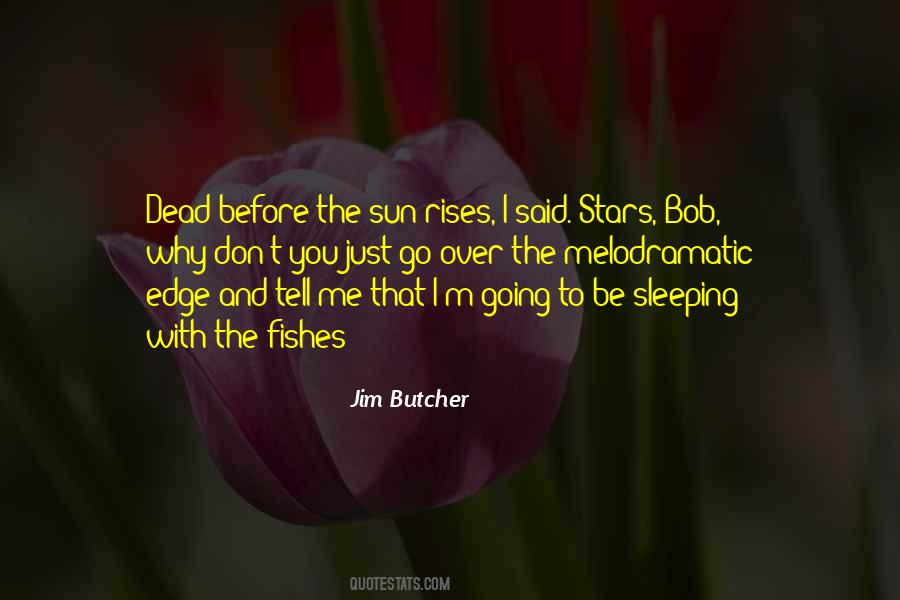 Quotes About The Sun Also Rises #285220