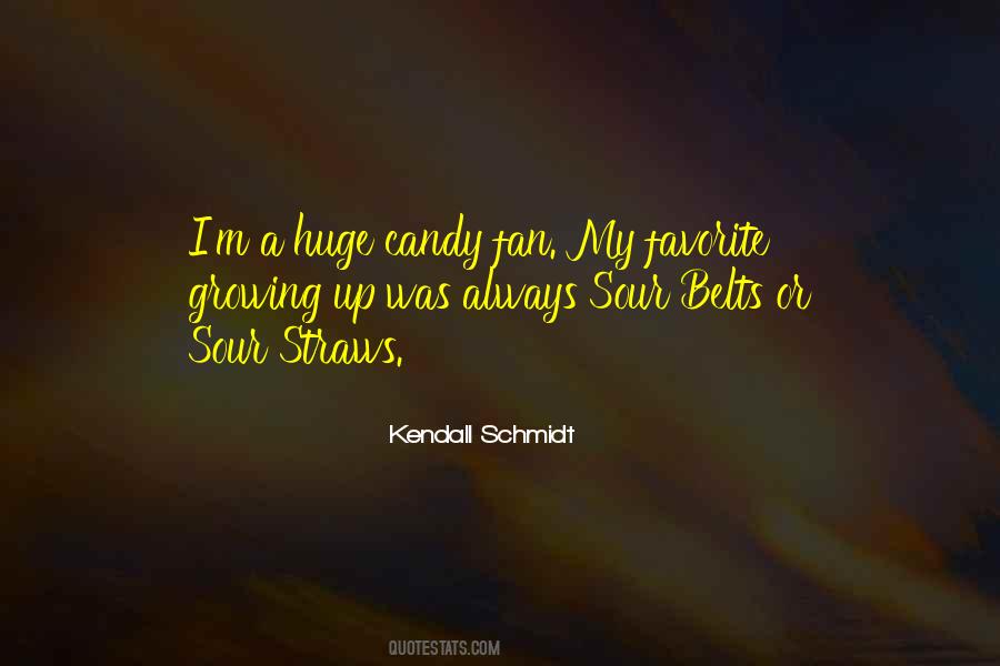 Quotes About Schmidt #205374
