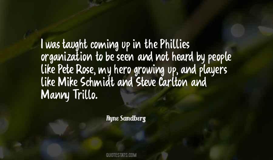 Quotes About Schmidt #60803