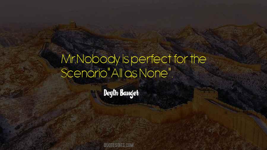 Quotes About Nobody Is Perfect #692227