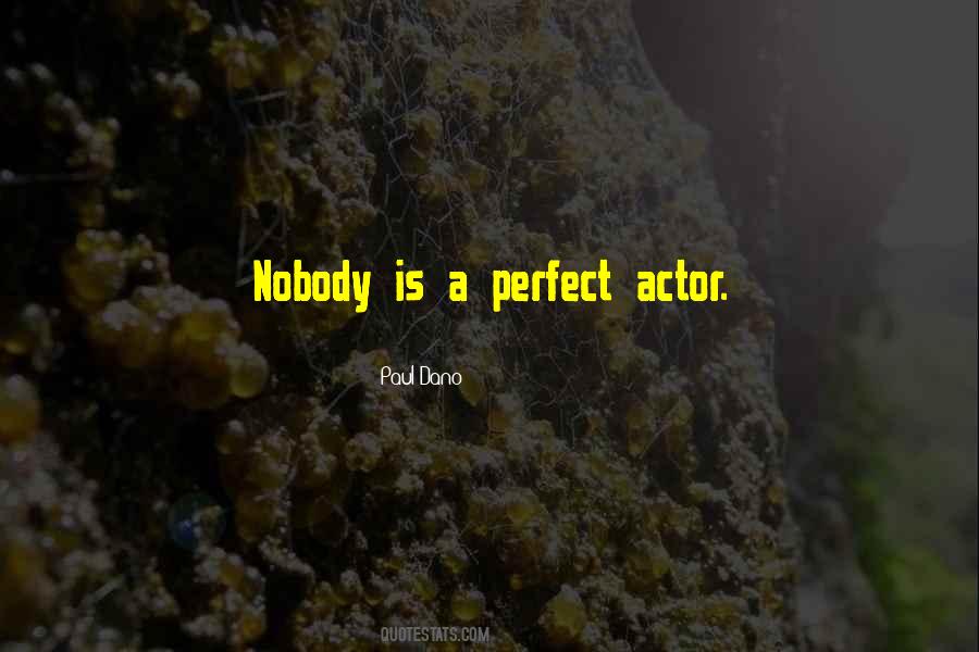 Quotes About Nobody Is Perfect #872285