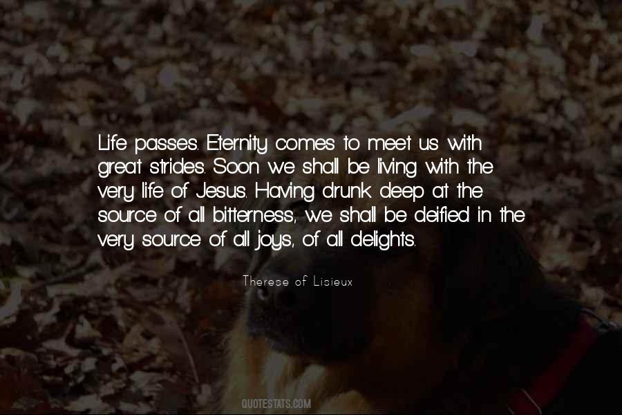 In Life We Meet Quotes #1837548