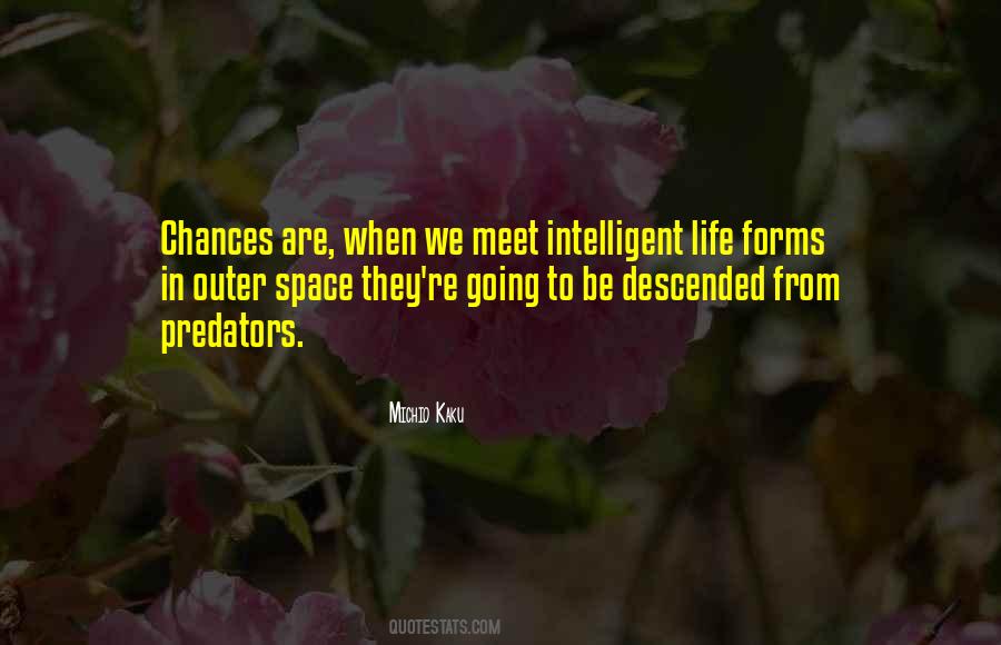 In Life We Meet Quotes #418963
