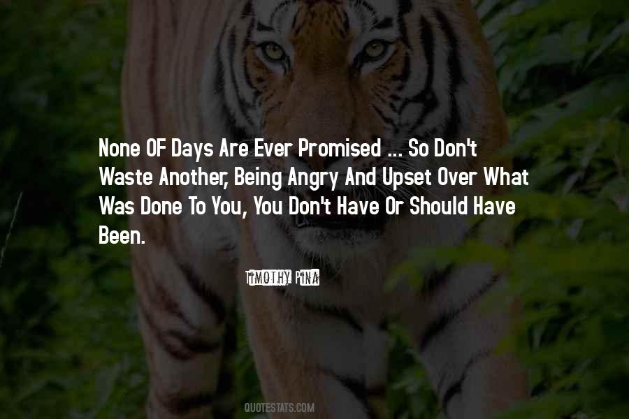 Quotes About What You Should Have Done #1221529